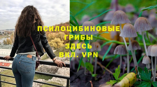 хмурый Алексеевка