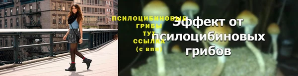 jwh Алзамай