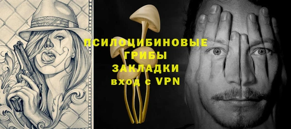 хмурый Алексеевка