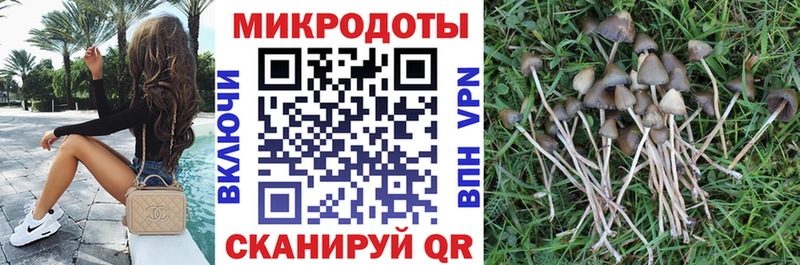 Галлюциногенные грибы MAGIC MUSHROOMS  гидра как зайти  дарк нет телеграм  Белоозёрский 